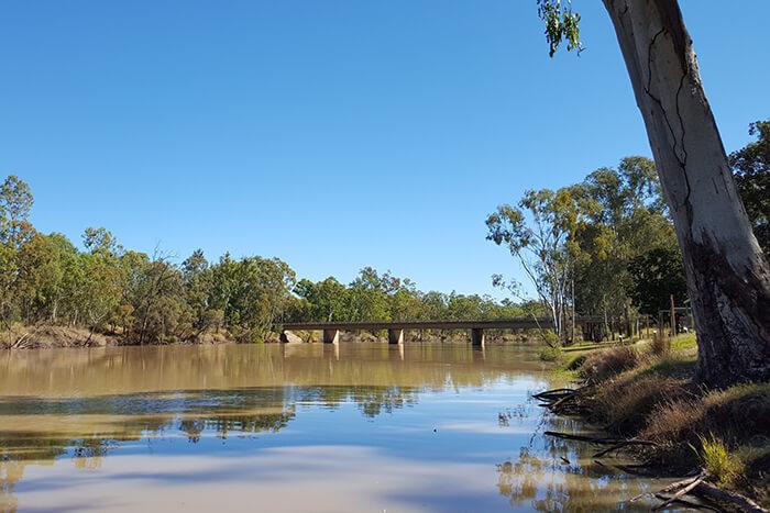 Michael Palmes - Banana, Queensland, Australia - 1